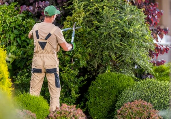 Forets Et Jardin Dile De France Amenagement Exterieur Chaville Nous Assurons Lentretien De Votre Jardin Et Parc A Chaville