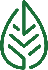 Forets Et Jardin Dile De France Amenagement Exterieur Chaville Amenagement Exterieur Forets Et Jardin Dile De France Amenagement Exterieur Chaville Amenagement Exterieur