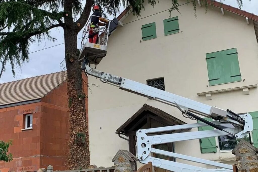 Forets Et Jardin Dile De France Amenagement Exterieur Chaville Jardin Dil De France10