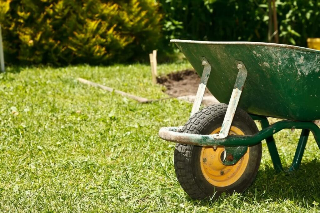 Forets Et Jardin Dile De France Amenagement Exterieur Chaville Jardin Dil De France9