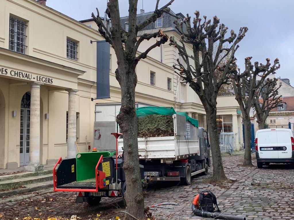 Forets Et Jardin Dile De France Amenagement Exterieur Chaville Realisatiion Elagage 2