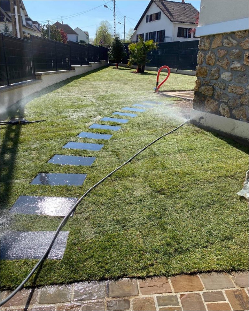 Forets Et Jardin Dile De France Amenagement Exterieur Chaville Pelouse Apres